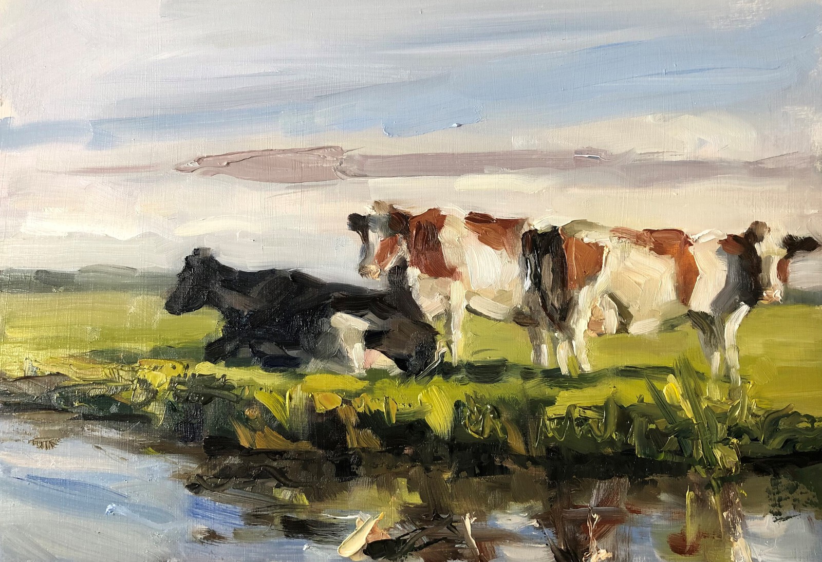 drie koeien aan de waterkant