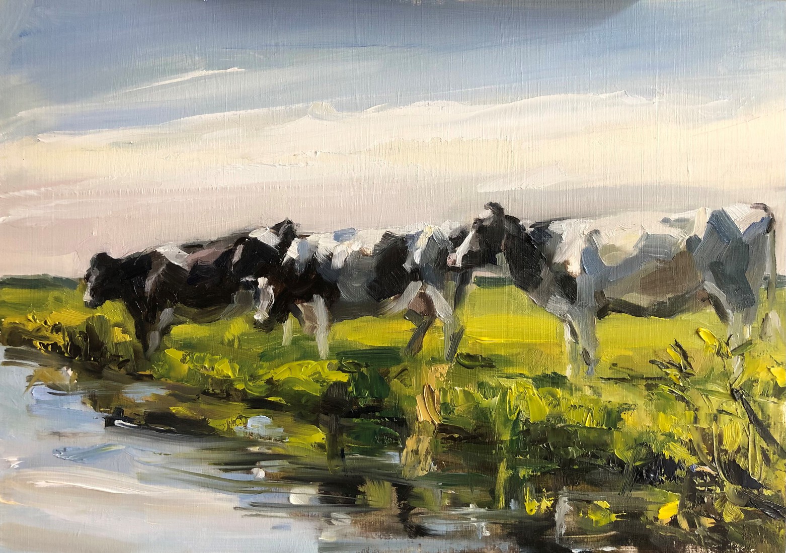 drie zwartbonte koeien