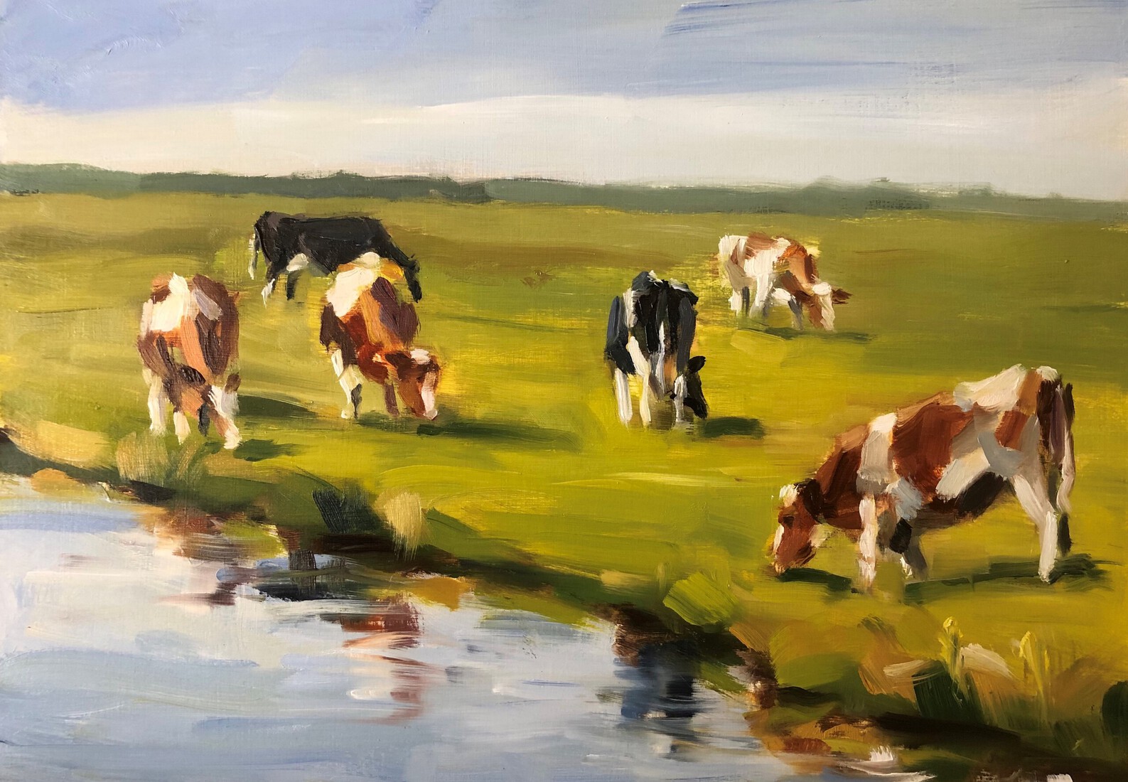 Zes koeien aan de waterkant