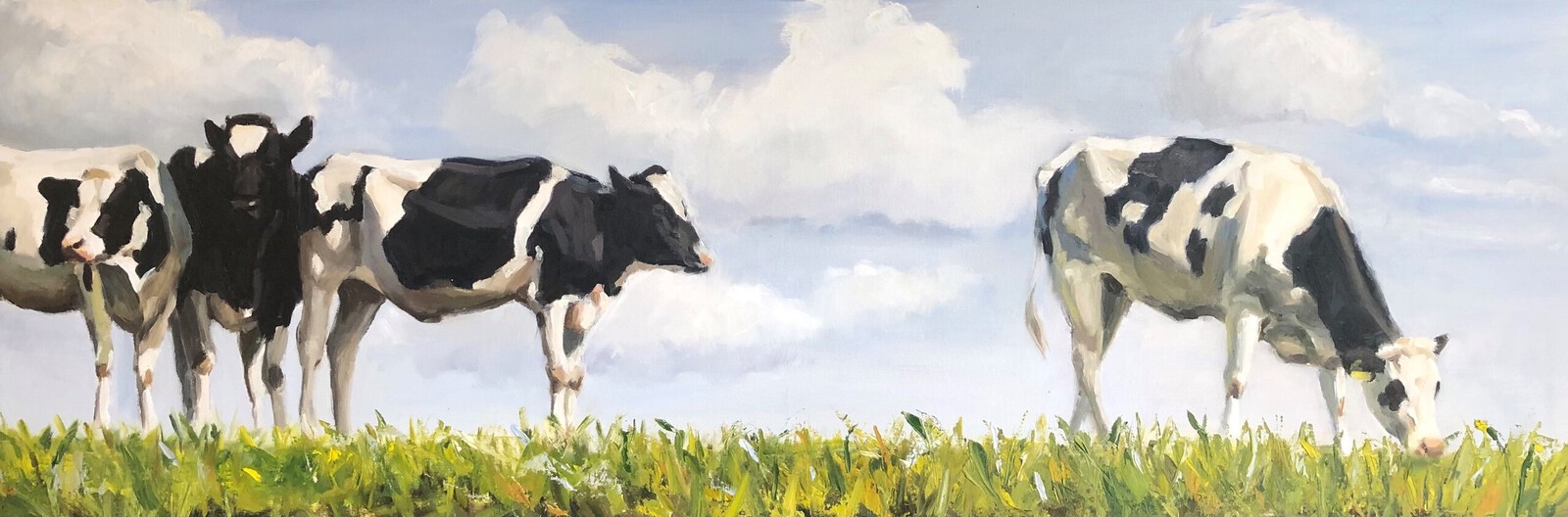 Vier koeien op een dijk