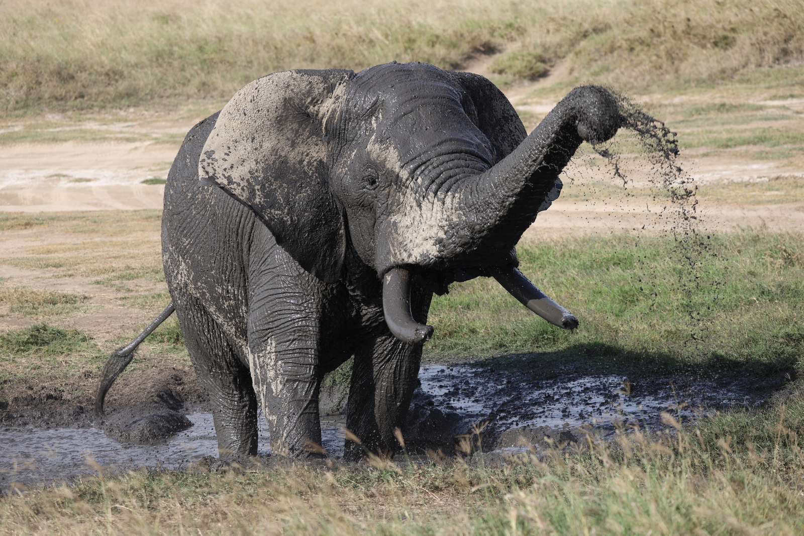 Kenia en Tanzania 
