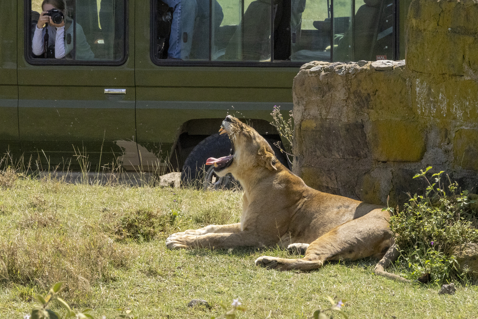 Kenia en Tanzania 