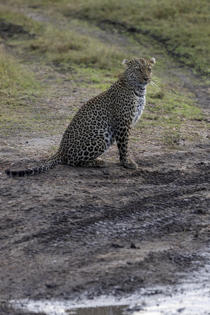 Kenia en Tanzania 