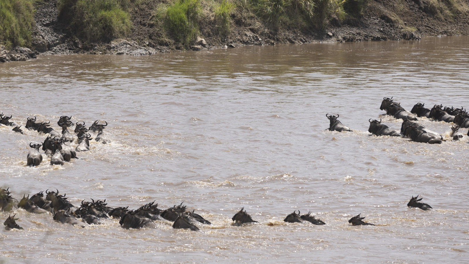 Kenia en Tanzania 