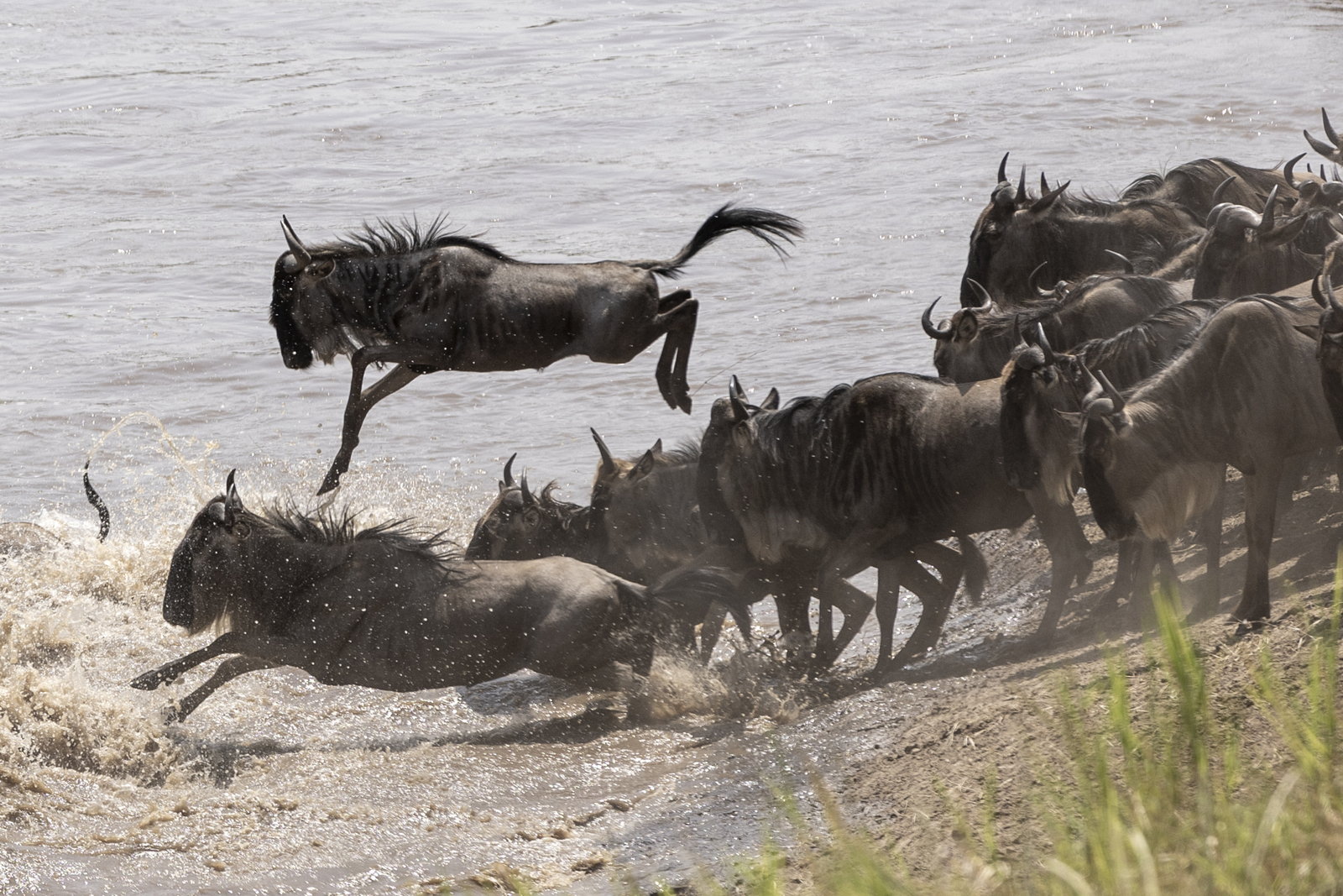 Kenia en Tanzania 