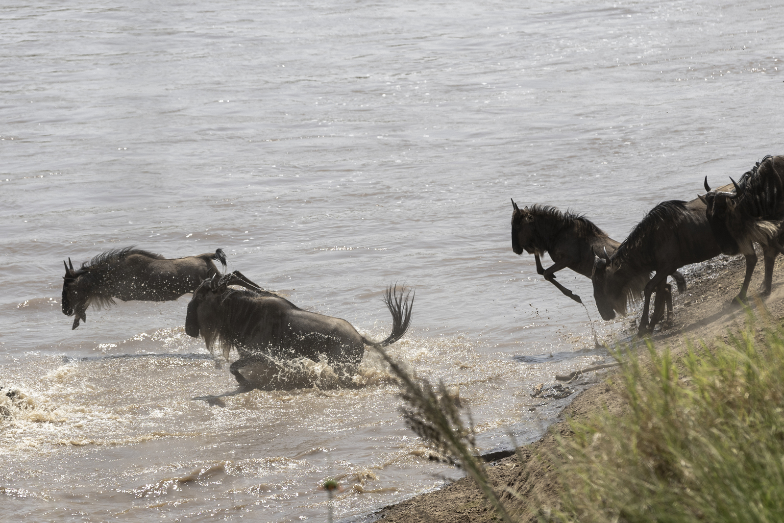 Kenia en Tanzania 