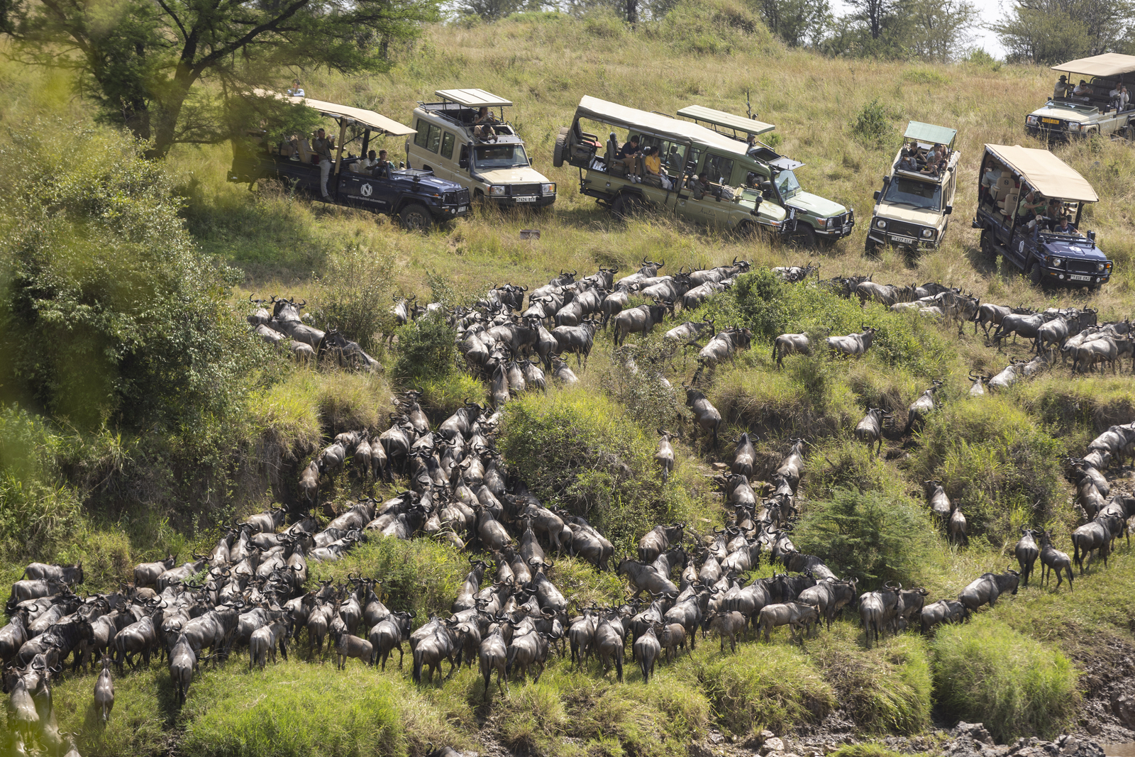 Kenia en Tanzania 