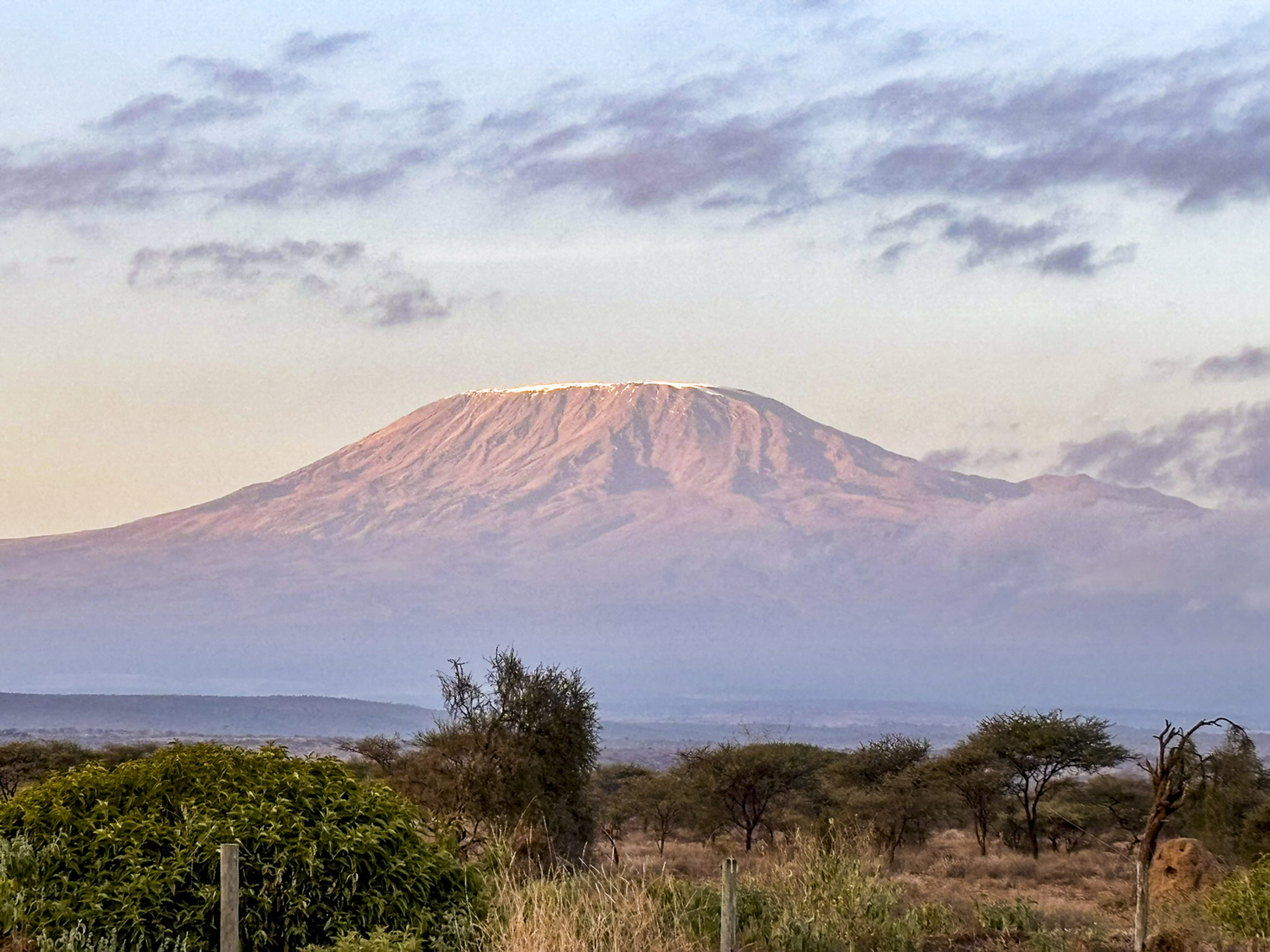 Kenia en Tanzania 