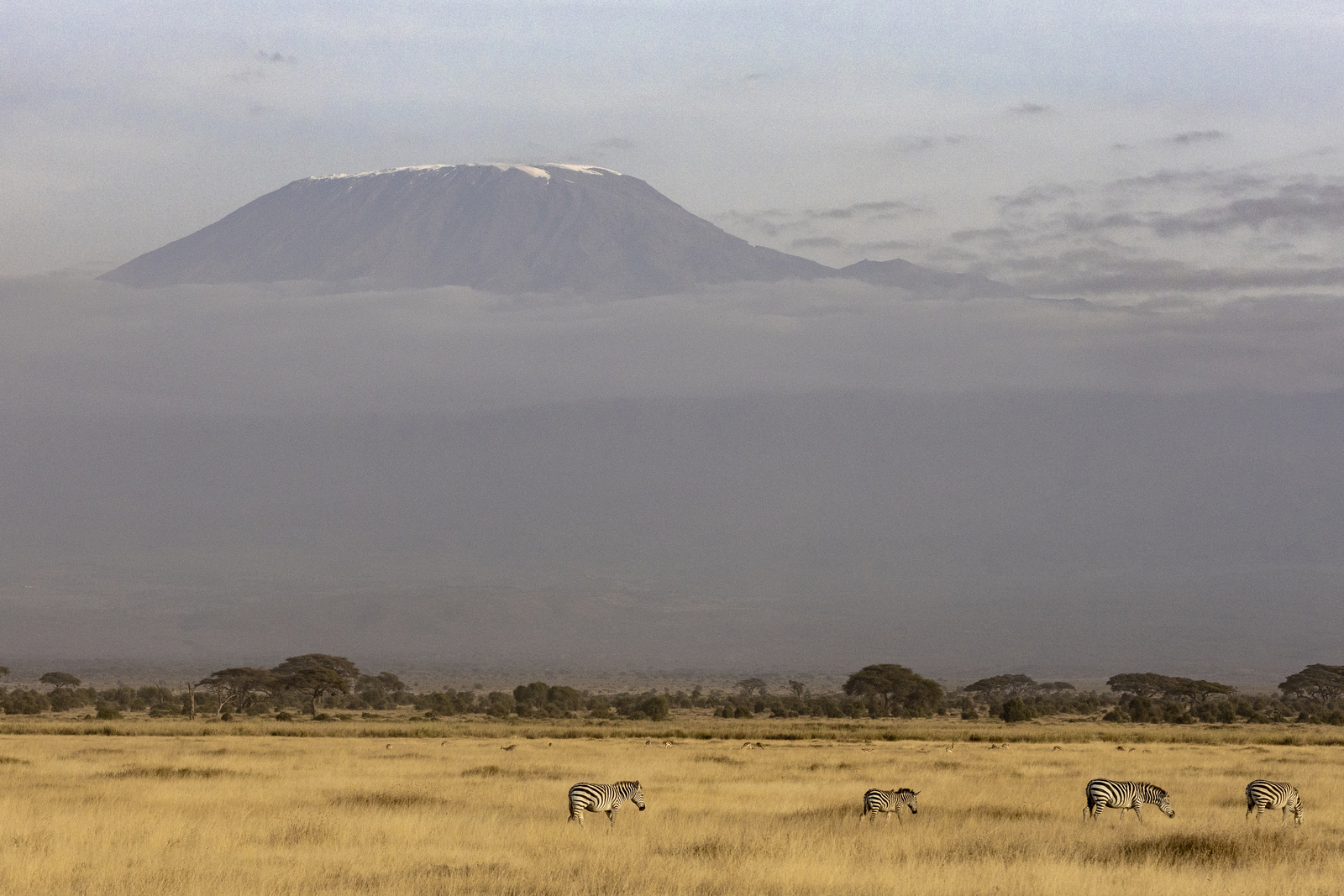 Kenia en Tanzania 