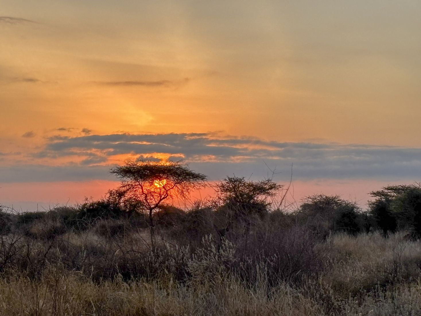 Kenia en Tanzania 