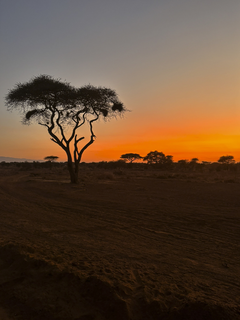 Kenia en Tanzania 