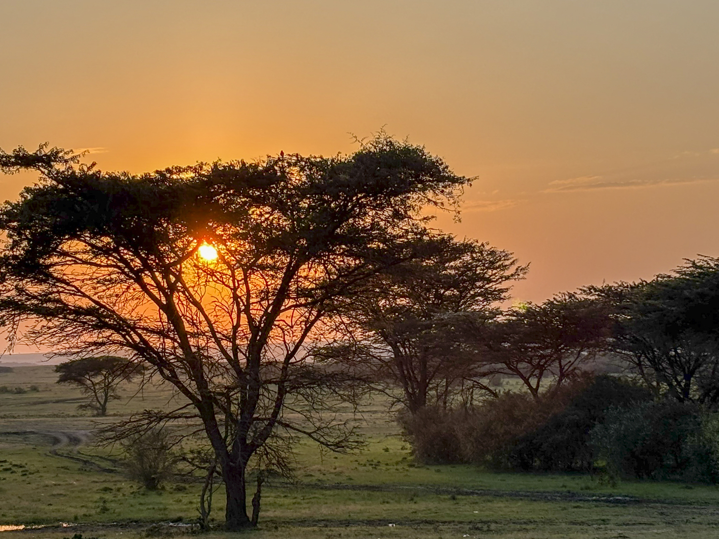 Kenia en Tanzania 
