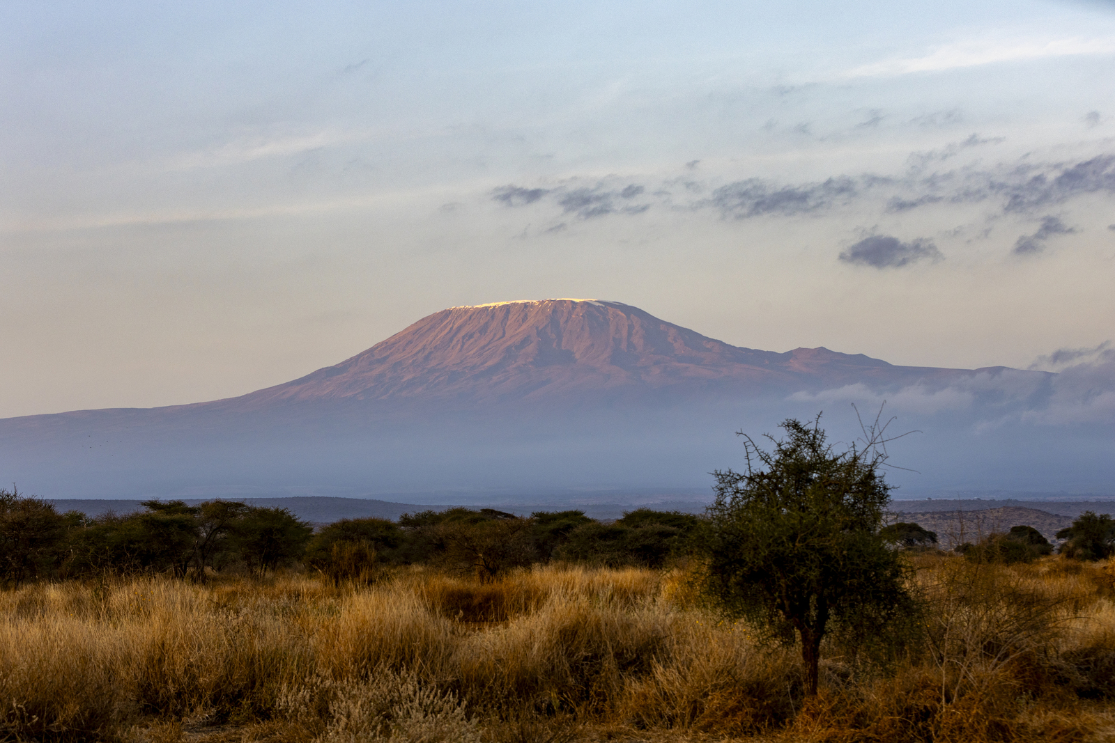 Kenia en Tanzania 