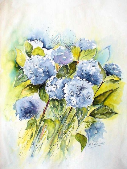 Blauwe Hortensia's