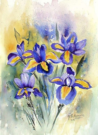 Blauwe Irissen