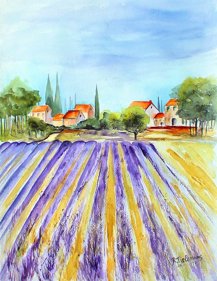 Lavendelveld in de Provence
