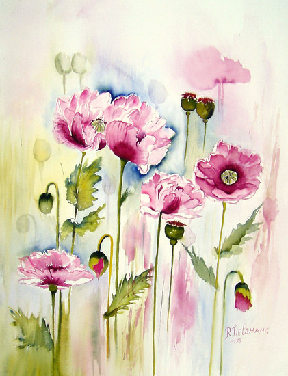 Roze Papavers, aquarel van bloemen