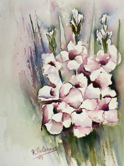 Gladiolen, aquarel van bloemen