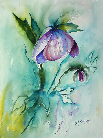 Paarse Helleborus, aquarel van bloem