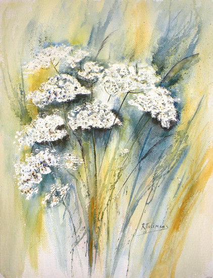 Witte Schermbloemen, aquarel van bloemen