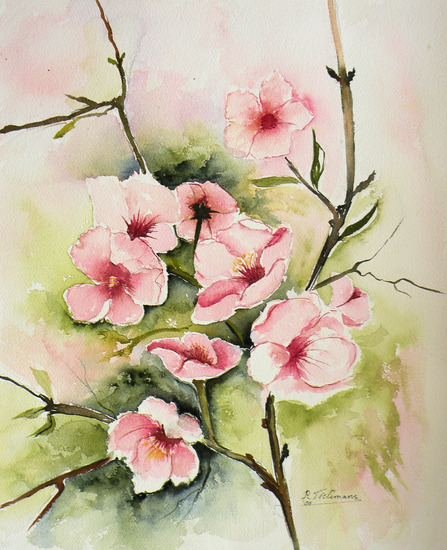 Amandelbloesem, aquarel van bloemen