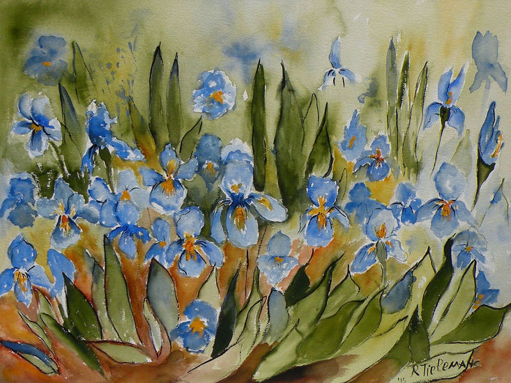 Blauwe Irissen, aquarel van bloemen