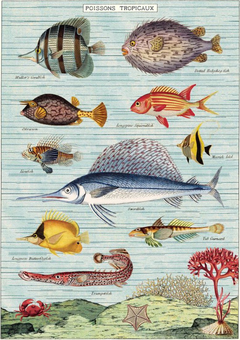 Vintage Poster Vissen