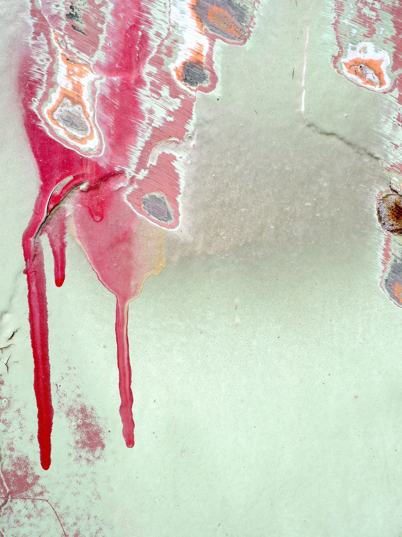 De gelaagdheid van het leven