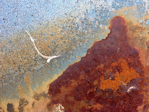 Onopgemerkt Opvallend.
Overal om ons heen ontstaan abstracte beelden — op muren, bladeren, containers en glas. Abstracte fotografie is een ode aan het ongeziene en aan allen die zich in de vreemdste hoeken buigen om dat vast te leggen.

