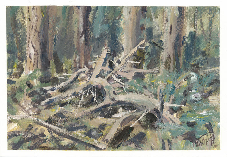 Dood hout, klaar om op te stijgen, in het bos.