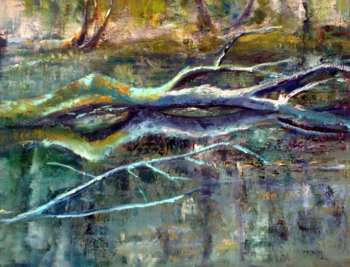 Vijver Echobos Muiderberg