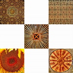 Een serie vierkante foto's van mij zou zó aan de muur kunnen hangen. Stel dat je ze op 50 x 50 cm bestelt dan praat je over een stuk muur van 1,5 x 1,5 meter. Het is maar een idee. Ik kan deze composities nu niet in de webshop zetten omdat ik ze nog niet op voorraad heb. Maar ik zal er hier wel een aantal tonen en wacht dan de reacties af .....