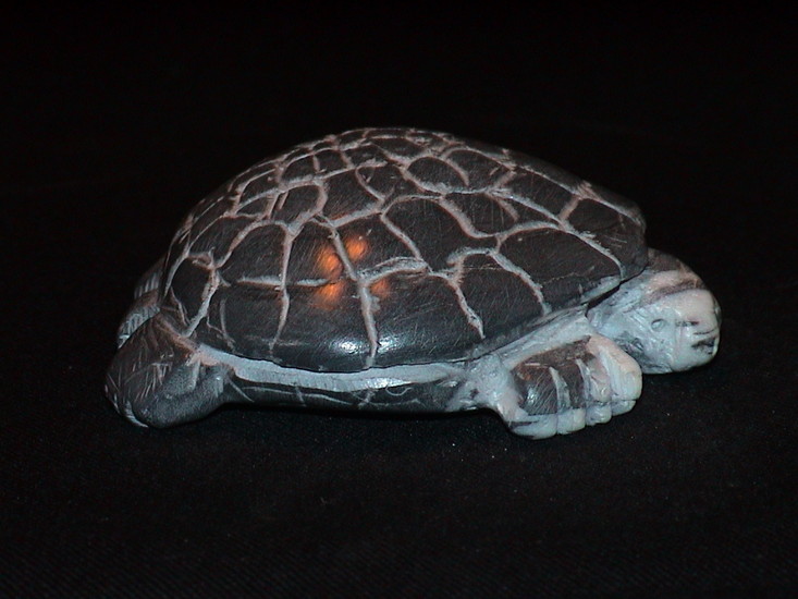 Aapeli Schildpad