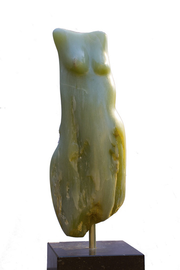 Vrouwen torso