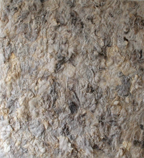 Blanc 3 - schat, ik ga even met een schaap in bad