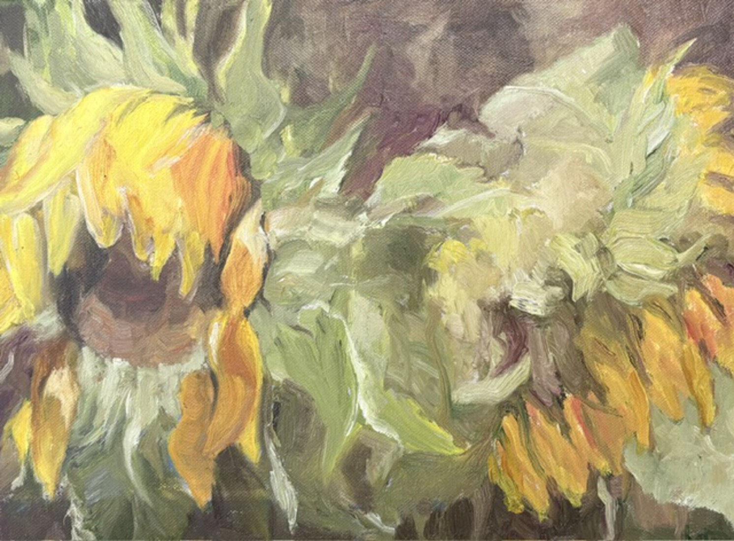 Zonnebloemen 