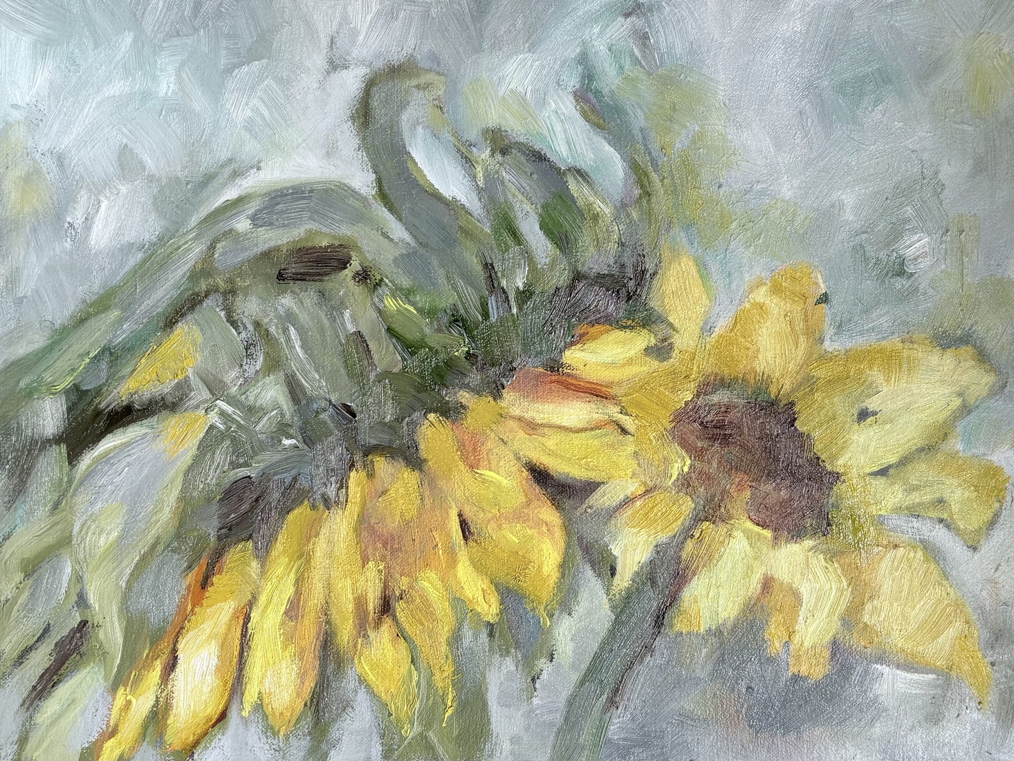 Zonnebloemen 