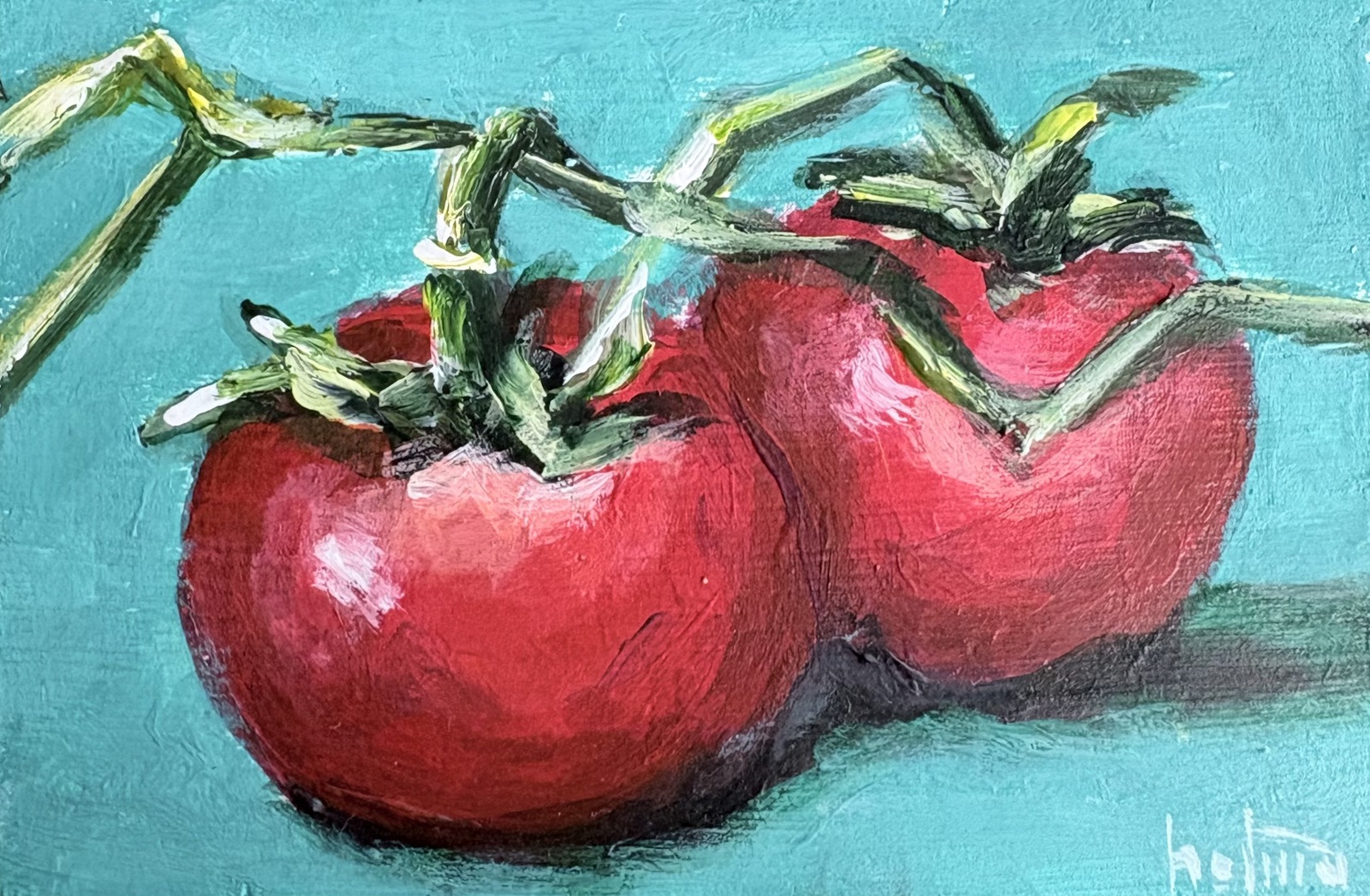 Tomaten aqua achtergrond
