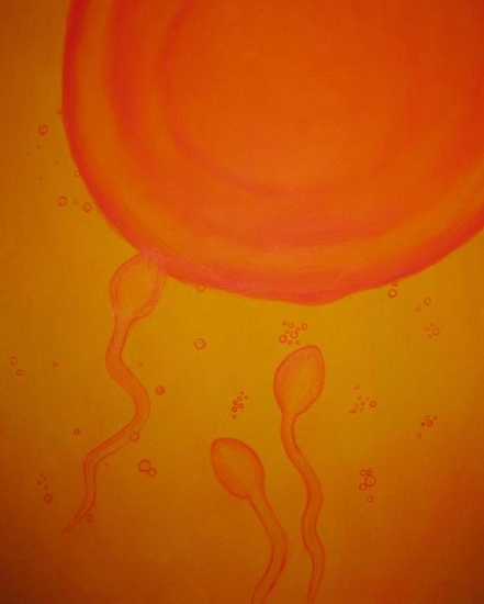 Het wonderlijke wonder