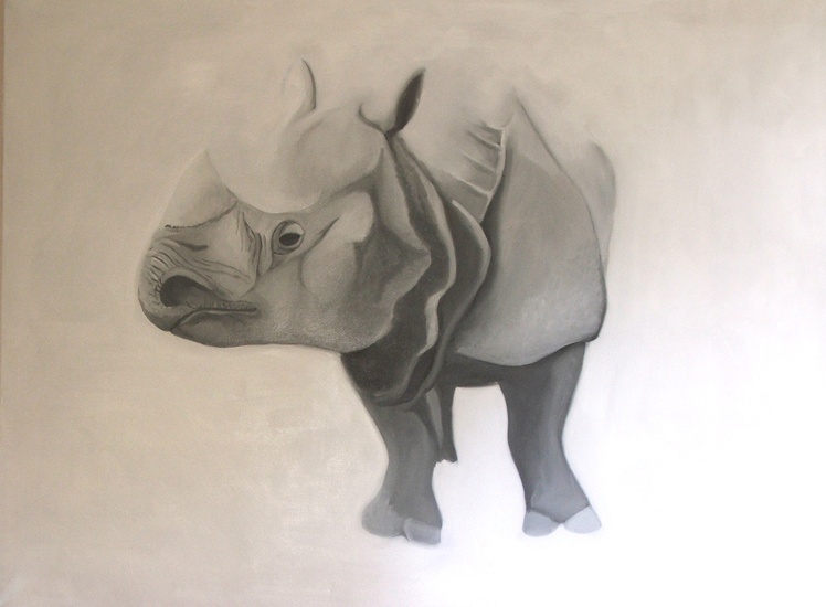 rhinoceros