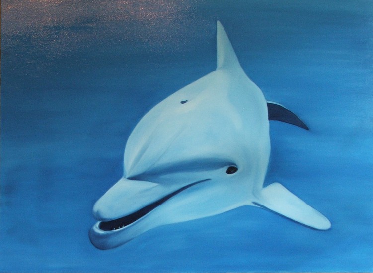 Atlantic hump-backed dolphin