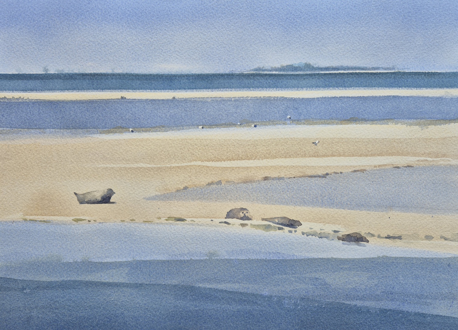 Sandflat with seals