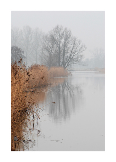 Mist