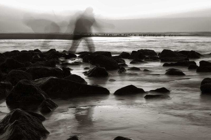 Strandgeest