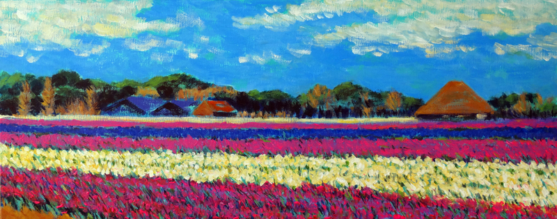 Bollenveld Egmond