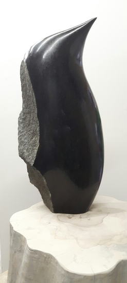 King of The South Pole