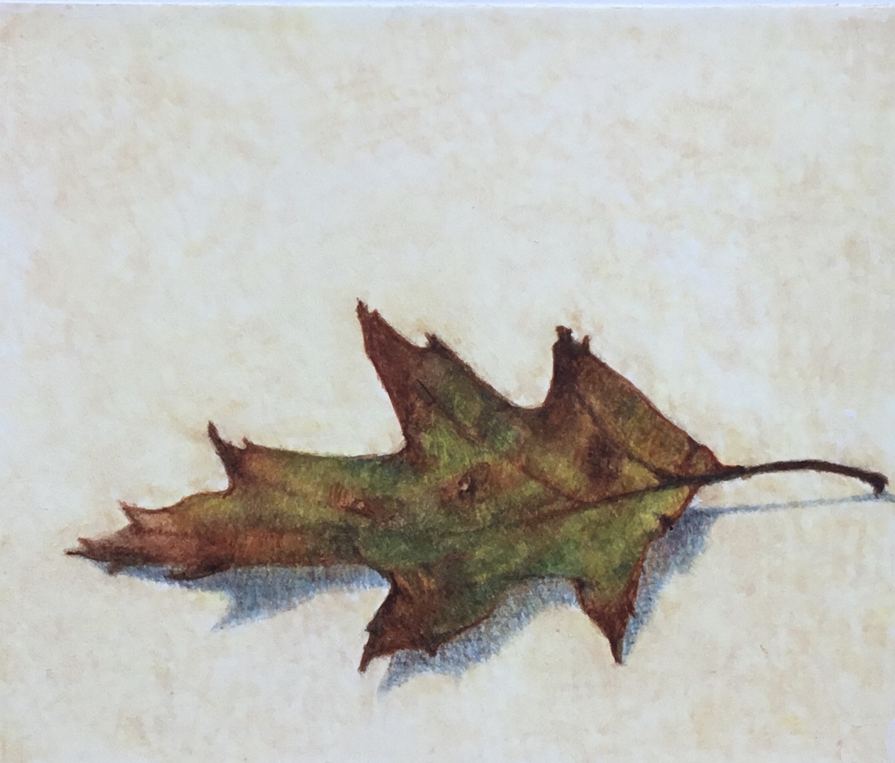 Herfstblad