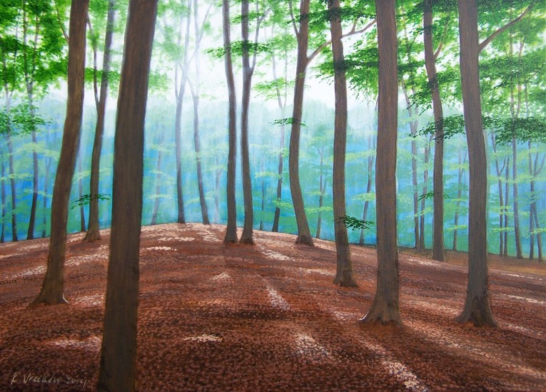 Beukenbos bij Dieren