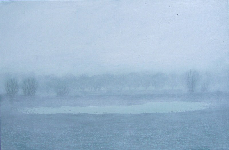 Uiterwaarden in mist