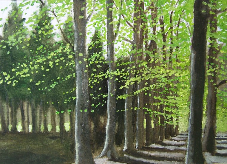 Beukenlaan bij Almen